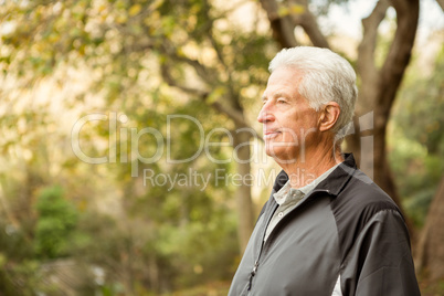 Senior man in the park