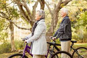 Senior couple in the park