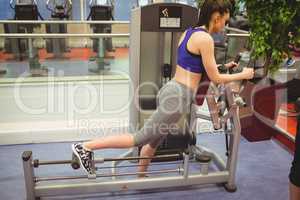 Fit woman using exercise equipment