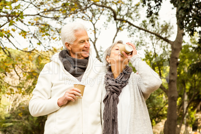 Senior couple in the park