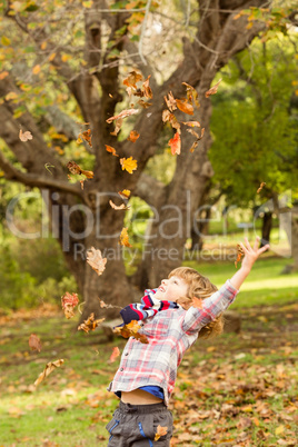 Happy little boy in the park