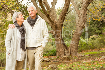 Senior couple in the park