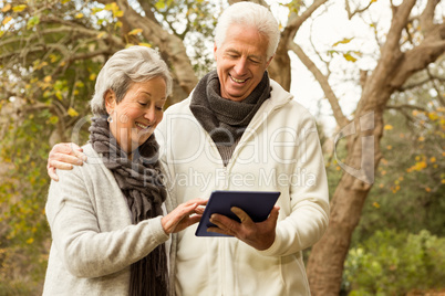 Senior couple in the park using tablet