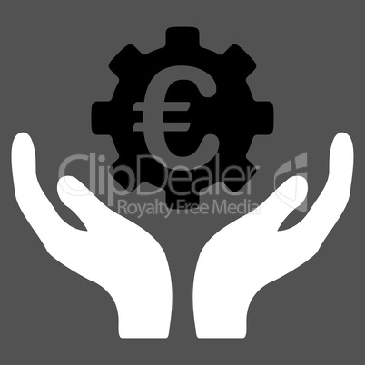 Euro Maintenance Icon