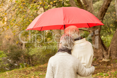 Senior couple in the park