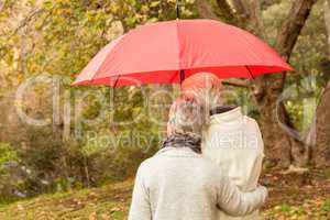 Senior couple in the park