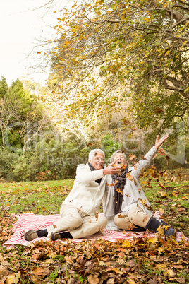 Senior couple in the park