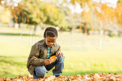Little boy picking up some leaves
