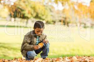 Little boy picking up some leaves