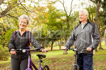 Senior couple in the park