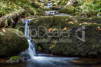 Bayerischer Wald, Bayern, Deutschland