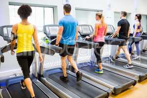 Fit people walking on treadmills