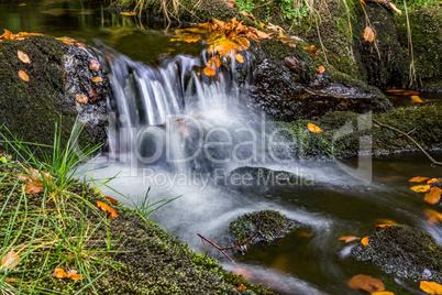 Bayerischer Wald, Bayern, Deutschland