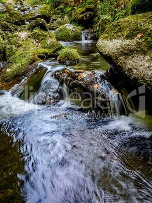 Bayerischer Wald, Bayern, Deutschland