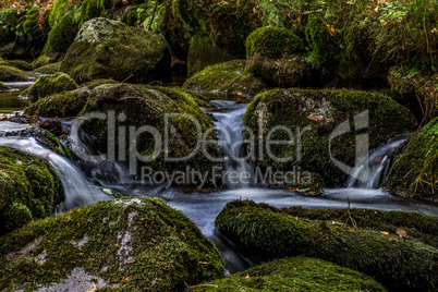 Bayerischer Wald, Bayern, Deutschland