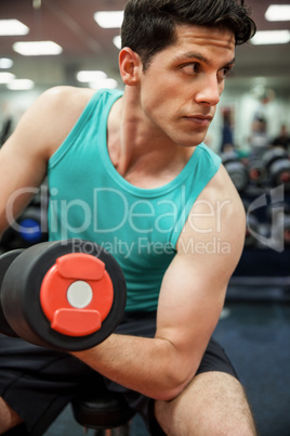 Man lifting dumbbell weight while sitting