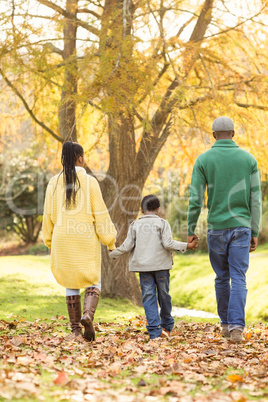 Rear view of a young family