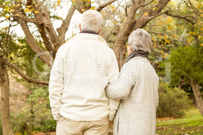 Senior couple in the park