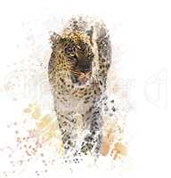 Leopard Watercolor
