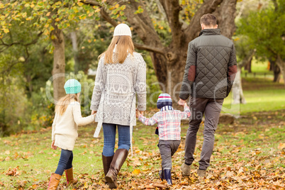 Rear view of a young family