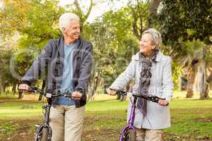 Senior couple in the park