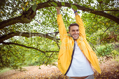Handsome man hanging from tree