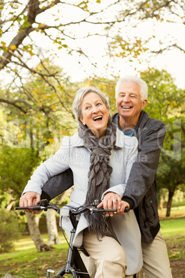 Senior couple in the park