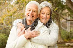 Senior couple in the park