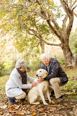 Senior couple in the park