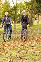 Senior couple in the park