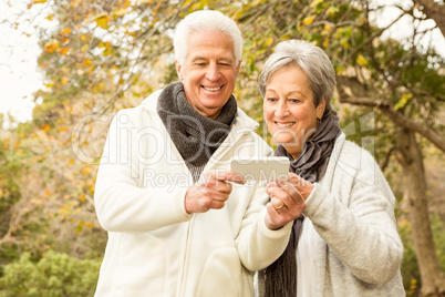 Senior couple in the park