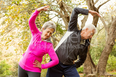 Senior couple in the park