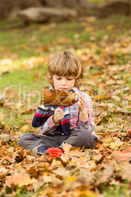 Happy little boy in the park