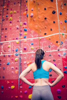 Fit woman looking up at rock climbing wall