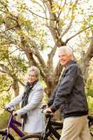 Senior couple in the park