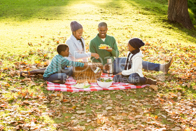 Happy family picnicking in the park together