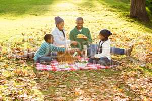 Happy family picnicking in the park together
