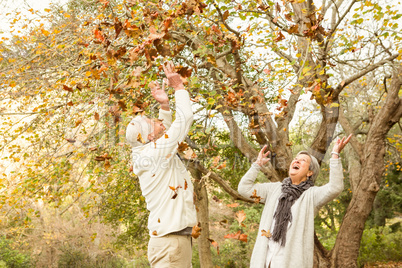 Senior couple in the park