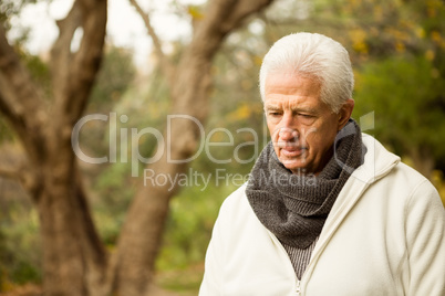 Senior man in the park