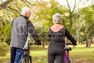 Senior couple in the park