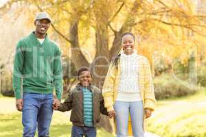 Portrait of a young smiling family