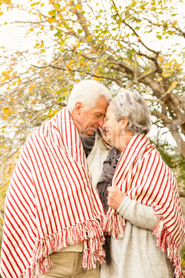 Senior couple in the park