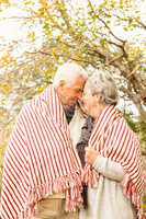 Senior couple in the park