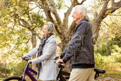 Senior couple in the park