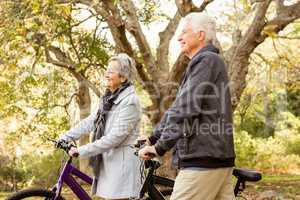 Senior couple in the park