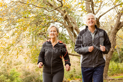 Senior couple in the park