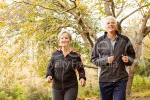 Senior couple in the park