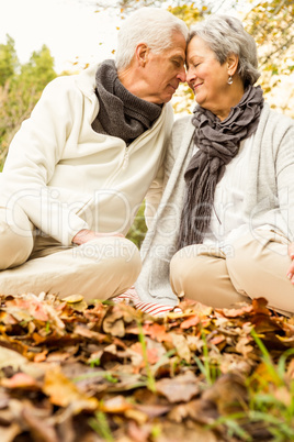 Senior couple in the park