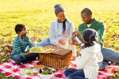 Young smiling family doing a picnic