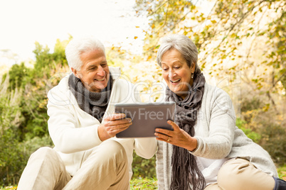 Senior couple in the park